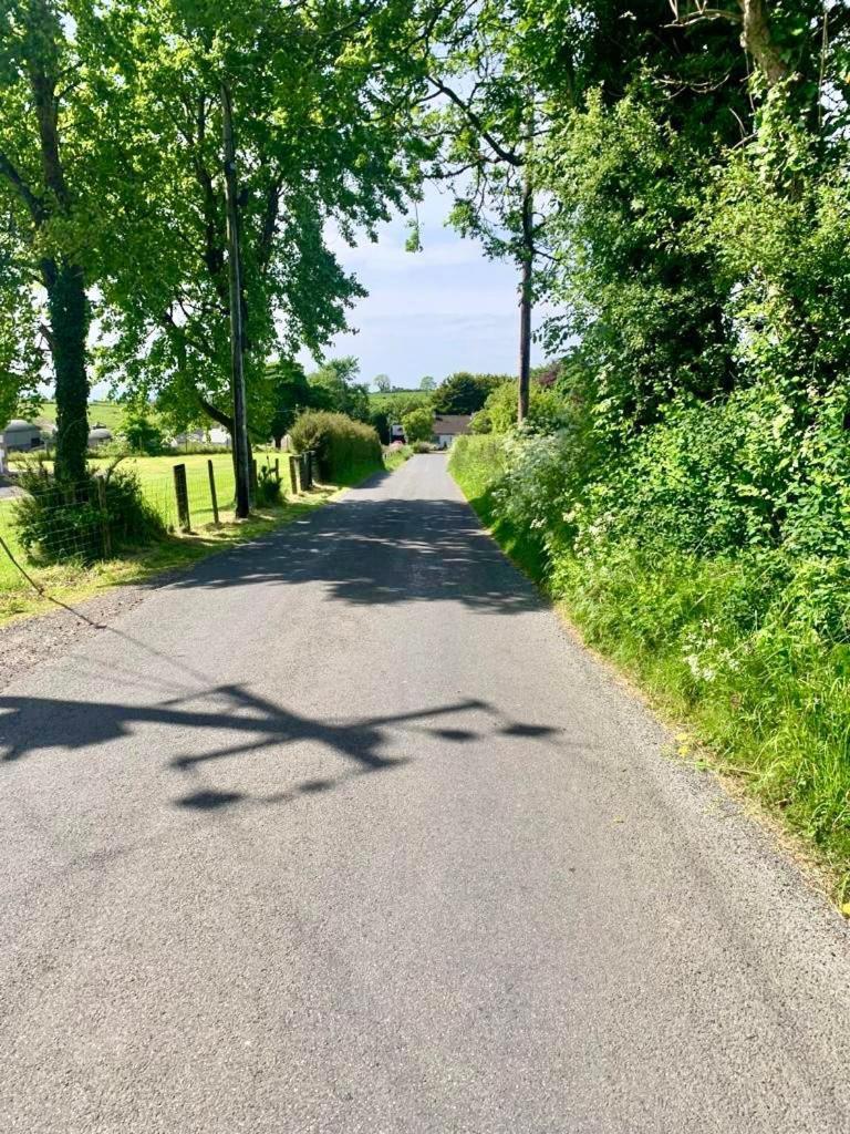 Quiet Farm Bungalow Enniskillen Fermanagh Exteriör bild